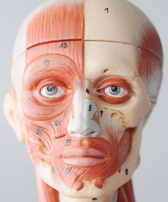 Dark Circle Treatment in Johor Bahru Dark Circle Treatment in Johor Bahru